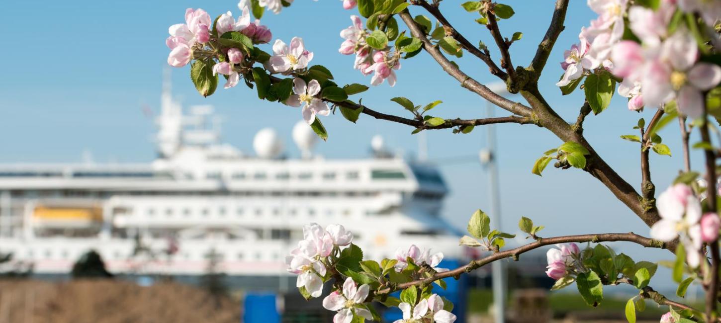 Cruise Ship Schedule 2024 VisitFredericia   Krydstogt Kreditering Knud Erik Madsen 